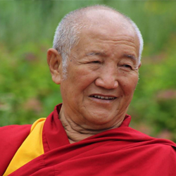 Gyumed Khensur Rinpoche Lobsang Jampa